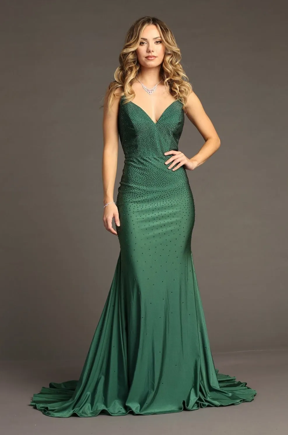 Chicas Evening Gown YG5026