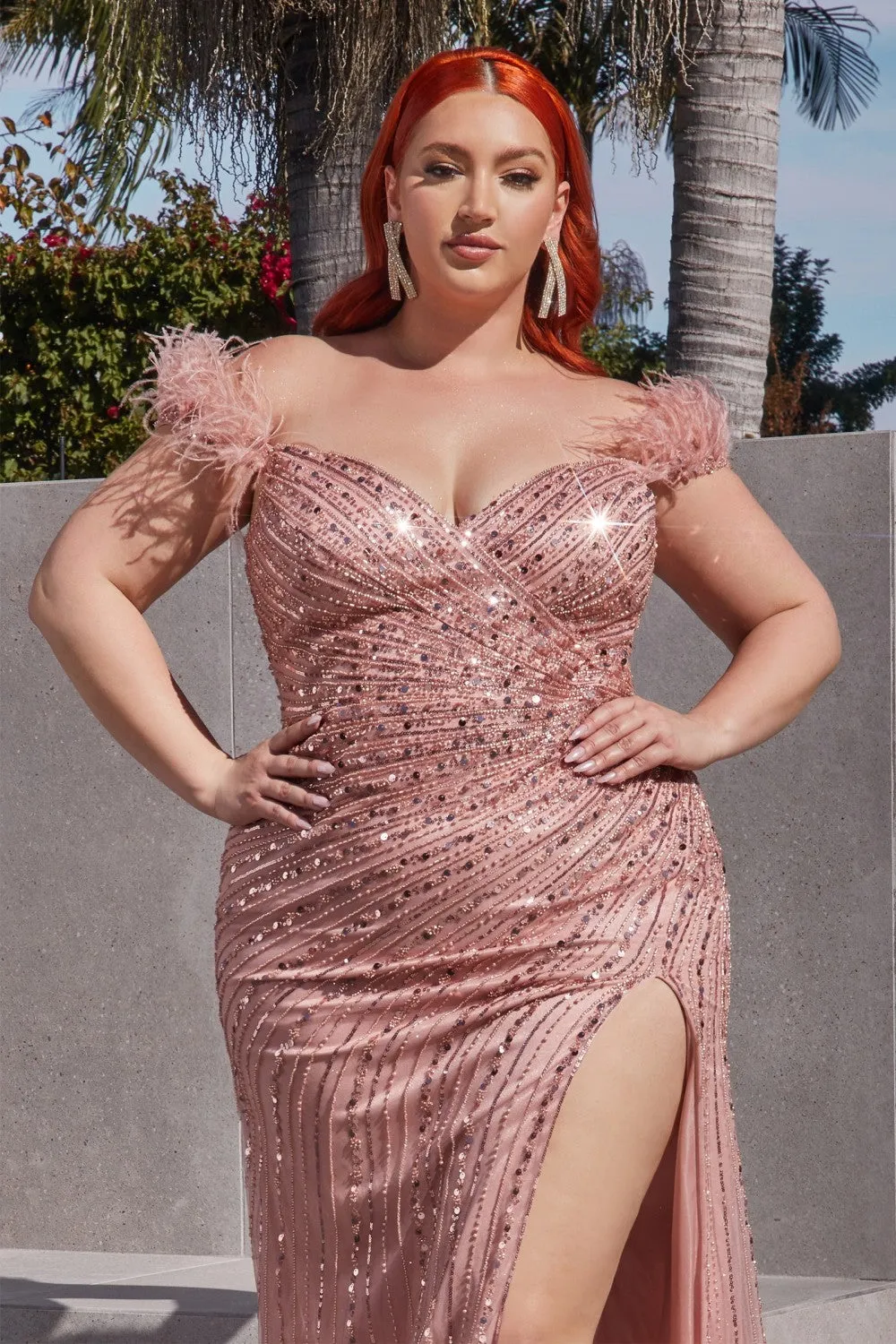 Cinderella Evening Dress CD0207C