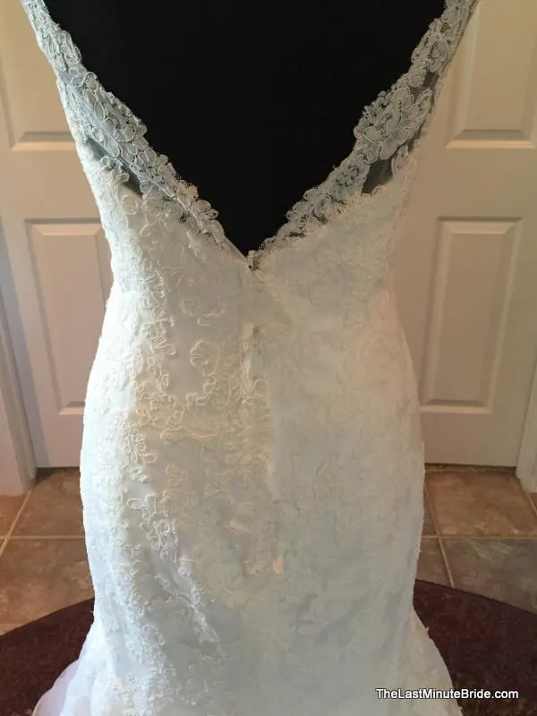 David Tutera 113201 Theda
