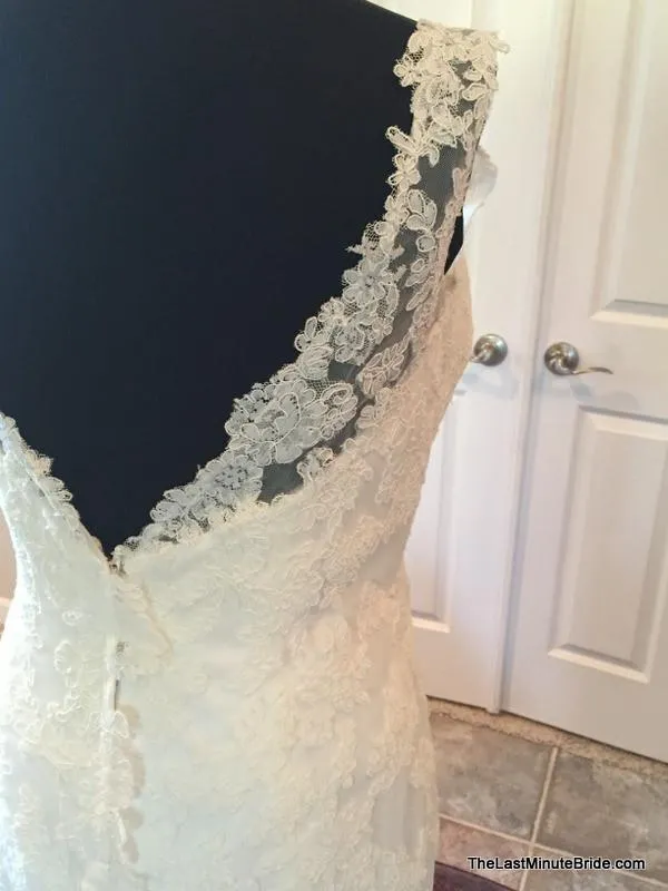 David Tutera 113201 Theda