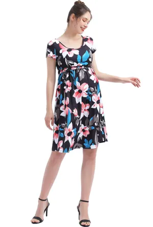 Kimi   Kai Maternity "Astrid" Nursing Skater Dress