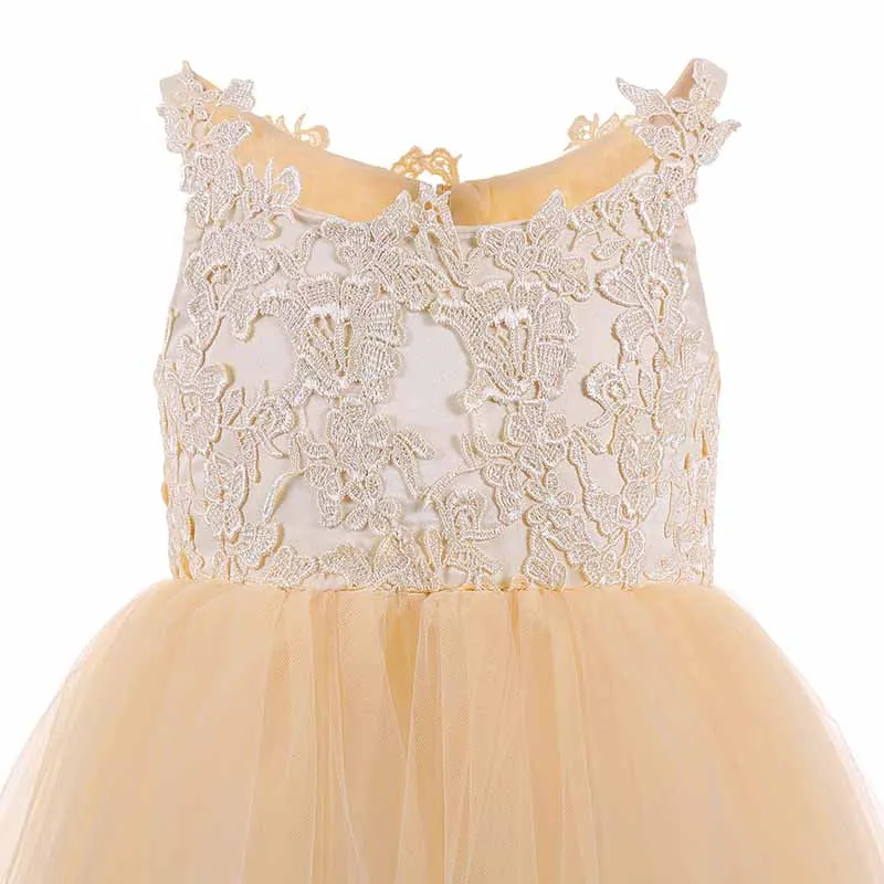Lace Embroidery Sheer Sleeveless Flower Dress Kids Trailing Tutu Gowns