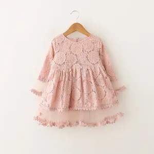 Lace long slv sheered dress