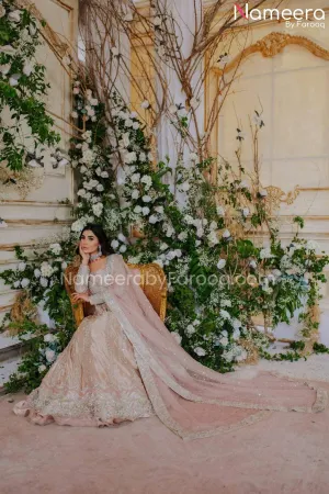 Latest Pakistani Bridal Gown in Tissue Fabric #BS545