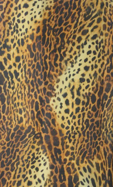 Salon Client Gowns In Cheetah Print