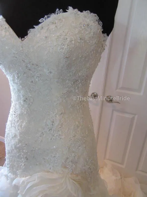 Sophia Tolli Cameron Y21511