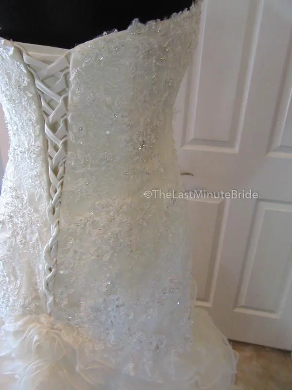 Sophia Tolli Cameron Y21511