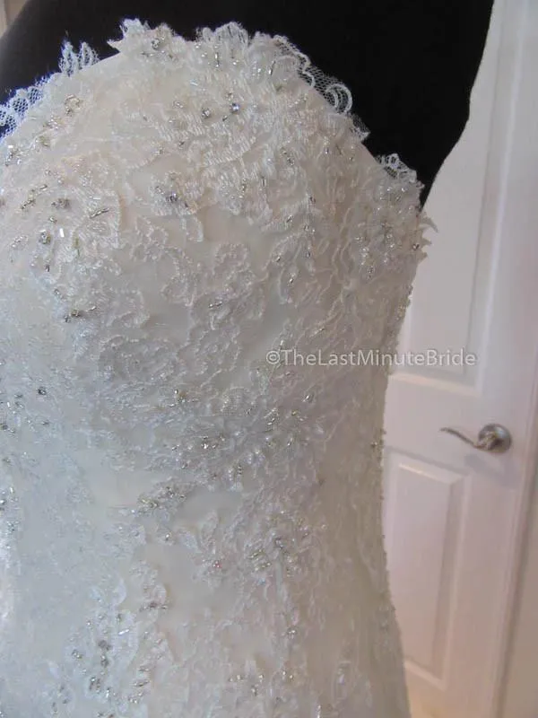 Sophia Tolli Cameron Y21511