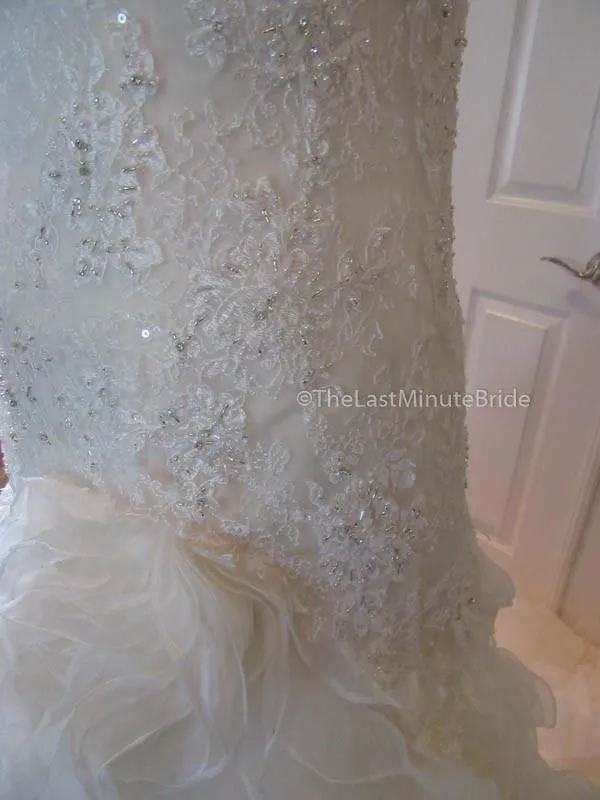 Sophia Tolli Cameron Y21511