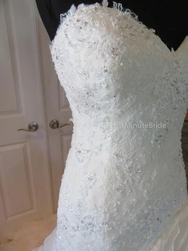 Sophia Tolli Cameron Y21511