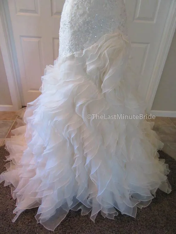 Sophia Tolli Cameron Y21511