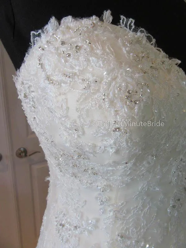 Sophia Tolli Cameron Y21511