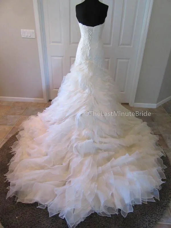 Sophia Tolli Cameron Y21511