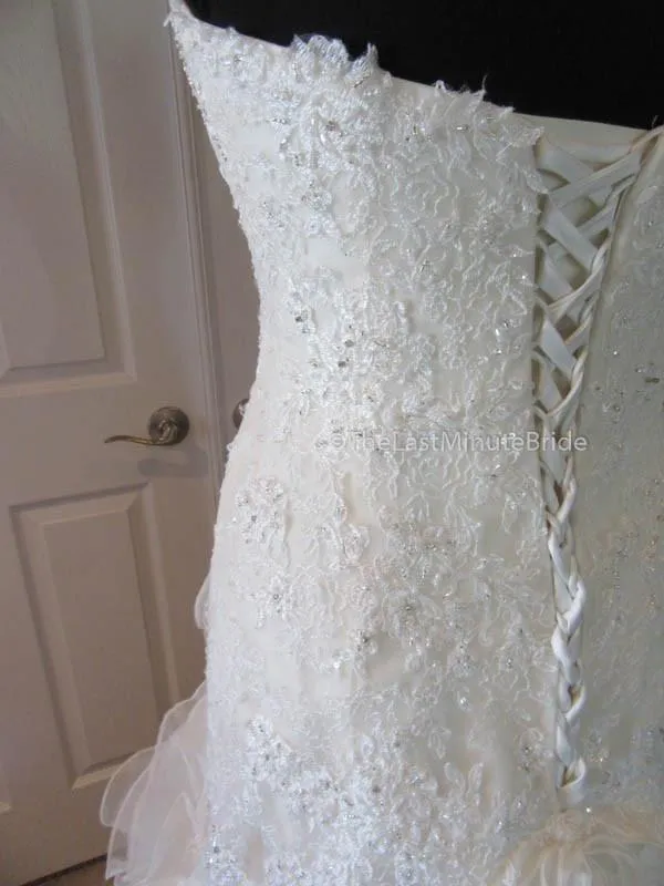 Sophia Tolli Cameron Y21511