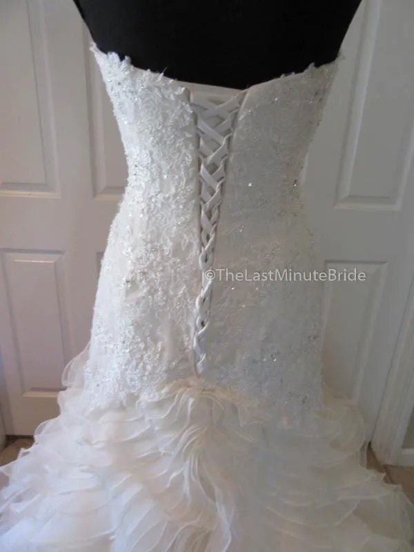 Sophia Tolli Cameron Y21511
