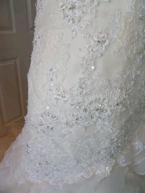 Sophia Tolli Cameron Y21511