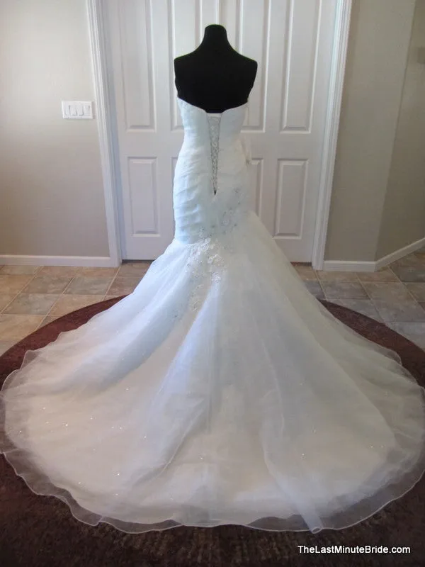 Sophia Tolli Delly Y11315 (multiple sizes/colors)