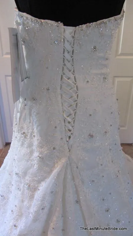 Sophia Tolli Tigris Y11305