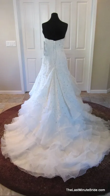 Sophia Tolli Tigris Y11305