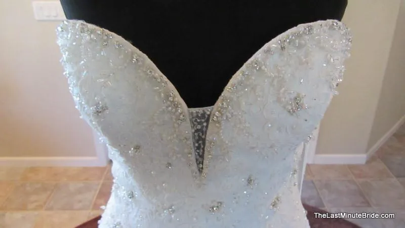 Sophia Tolli Tigris Y11305