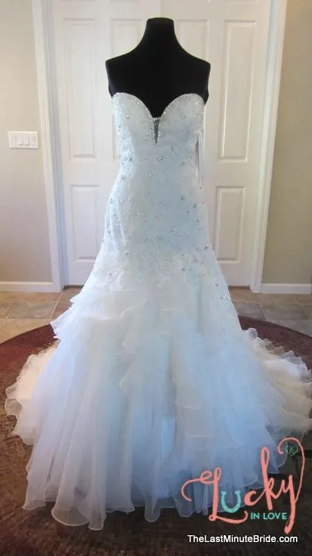Sophia Tolli Tigris Y11305