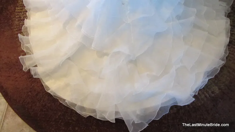 Sophia Tolli Tigris Y11305