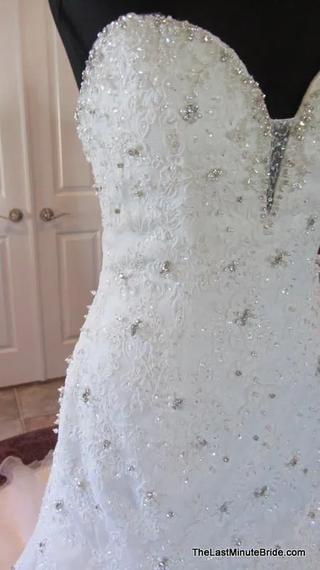Sophia Tolli Tigris Y11305