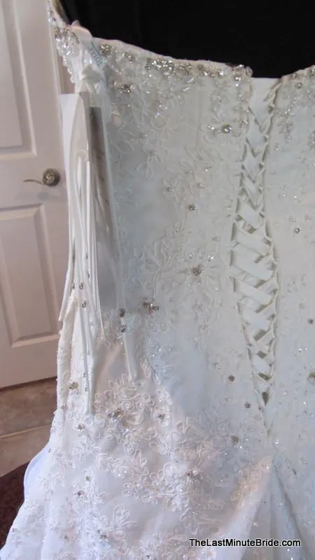 Sophia Tolli Tigris Y11305