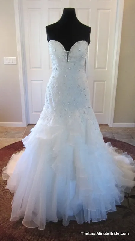 Sophia Tolli Tigris Y11305
