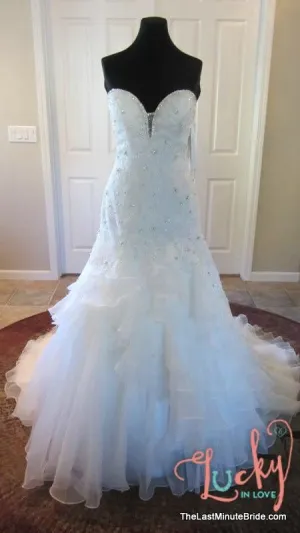 Sophia Tolli Tigris Y11305
