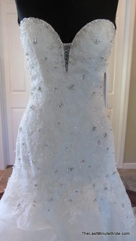 Sophia Tolli Tigris Y11305