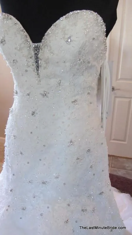 Sophia Tolli Tigris Y11305