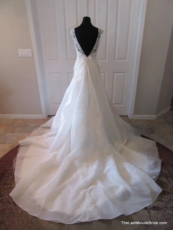Sophia Tolli Y11568 Altaira