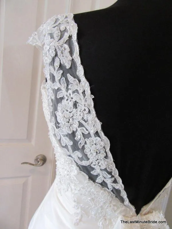 Sophia Tolli Y11568 Altaira